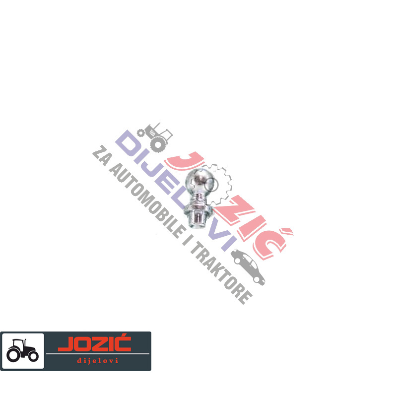 Daisy on the Ohoopee